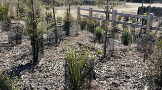 Residential Development in Sandflat Road, Cromwell, Otago