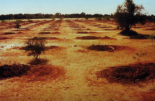 Arbole, Burkina Faso 1988