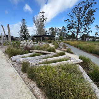 Establishing Resilient Landscapes at Parakai Playground