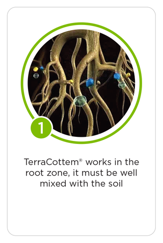 TerraCottem works in the root zone