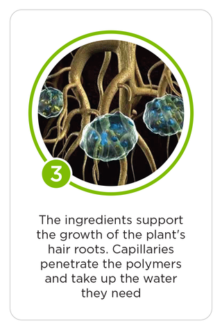 TerraCottem ingredients support the growth of the plant's hair roots. Capillaries penetrate the polymers and take up water they need