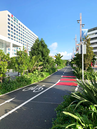 Quay Street bike lanes in Auckland