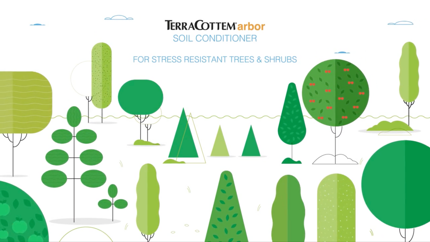 Video to learn more about TerraCottem arbor